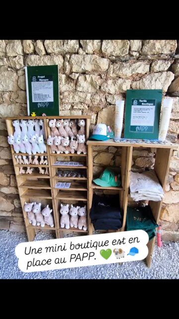 En attendant la rénovation de notre grange, on installe une mini boutique extérieure à l'entrée du parc 💚