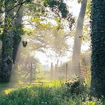Le Parc animalier des portes du Périgord est ouvert jusqu'à Dimanche pour ce long weekend ! De 11h à 18h sans réservation 🎉🌳💚🐎
- Snack non stop 🍟🥤🍺🍦
- Aire de jeu 👌
- Circuit pédagogique balisé 🔁
- Enclos en immersion 🐏🐐
- Animations 🐹🐷
- Aire de pique-nique 🌳🧺
Venez découvrir un cadre verdoyant et paisible à Beauregard de Terrasson ! 🙂