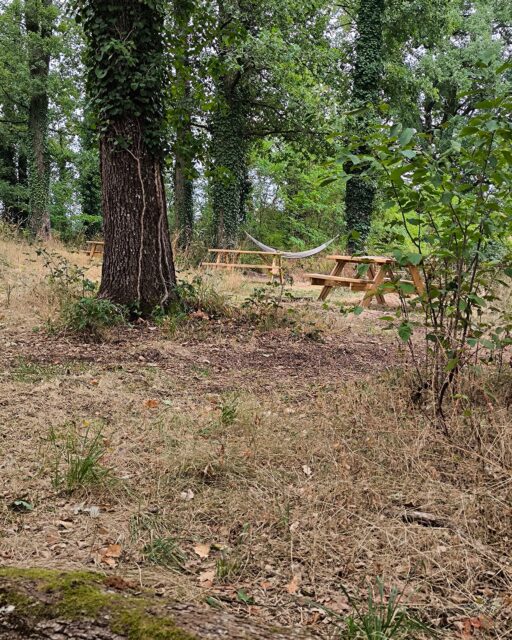 Avec le retour de la fraîcheur, la verdure reprend sa place au PAPP pour le plus grand bonheur des animaux.
- Circuit de visite balisé : entre prés et forêts à l'ombre des grands chênes. 🐑🌳🐖
- Affichages pédagogiques pour en apprendre plus sur les animaux 🐄🐇🐹🦆
- Snack : spécialités belges, paninis, gauffres, glaces 🧇🍟🍻
- Jeux pour enfants 🛝💚⚽Un bon moment en famille à Beauregard de Terrasson.