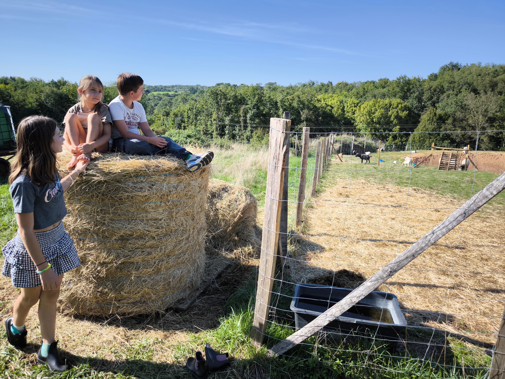 🧑🌾🚜Stage "petit fermier"; 🚜🧑🌾Le parc va proposer une semaine de stage pendant la semaine de Noël, tous les matins du 21 décembre au 25 décembre de 9h à 12h. (Prévoir tenue adaptée à la météo car pas d'annulation même si pluie/mauvais temps 💪)Immersion totale au sein de la vie du parc, nourrissage, soins aux animaux, balades en forêt, brossage des minis équidés,..sont au programme. 🐷🐹🐎🐑•Semaine complète à 175 EUR, goûter inclus, remise d'un diplôme à la fin de la semaine.
•Max 8 enfants de 8 à 12 ans.
•Réservation au 06.47.86.37.63 ou au 06.50.23.90.04.N'hésitez pas à nous contacter pour plus d'informations 🙏🥰Julien et Jessica.