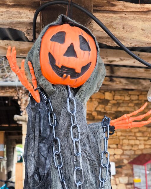 🕷️🕸️🎃Le programme d'animations des vacances est enfin là : 🎃🕸️🕷️•Tous les jours du samedi 17 octobre au vendredi 30 octobre inclus à 11h30 : nourrissage des cochons d'inde. 🐹 Distribution de légumes afin de découvrir nos adorables chonchons.• Les mardis 20/27 et jeudis 22/29: balade contée et interactive, "une mysterieuse disparition chez les chons". Venez aider notre équipe à retrouver notre petit protégé qui a disparu de son enclos... Ça sent la sorcellerie toute cette histoire... 🧙♀️🧹Venez déguisé si vous souhaitez vous plonger au coeur de l'enquête.👻🎃🐹🧙♀️🧹🕸️
Rdv à 14h30 à l'accueil du parc : prix unique 8eur/personne. (Entrée au parc incluse)• Le samedi 31: grande chasse au trésor. Rdv à 11h à l'accueil du parc. Prix unique 8eur/personne. (Entrée au parc incluse)🧙♀️🎃🍡🍬🕷️• Le dimanche 1 novembre :goûter de clôture de la première saison du Papp 🧇☕🍪
Rdv à 15h30. Prix unique 12eur/personne (entrée au parc incluse)
• une douceur et une boisson chaude au choix.
• un jus de fruits
• des bonbons 🍬 🎉🎃👻
Venez fêter avec nous cette fin de saison de façon chaleureuse et conviviale 🥰🙏⚠️Pas de réservation nécessaire.⚠️*Le parc sera décoré pendant toute la période des vacances.On espère vous voir nombreux ☺️👻🎃Jess et Ju 🎃👻