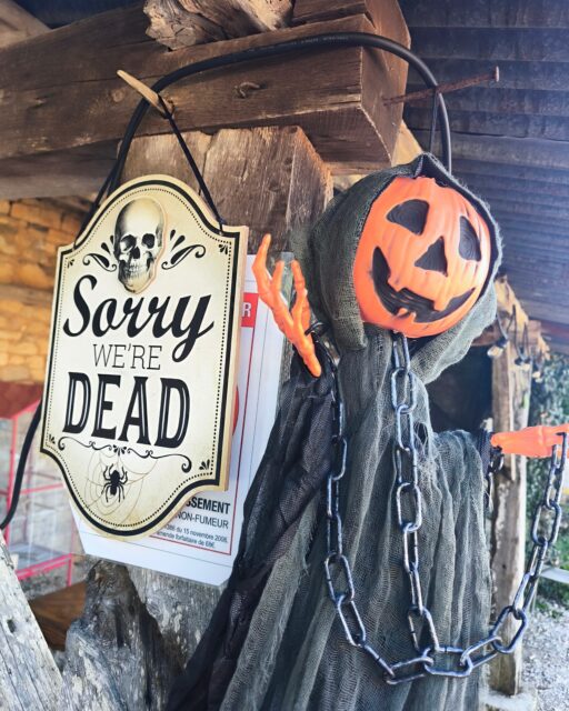 En raison des conditions météorologiques du jour et pour vous accueillir dans les meilleures conditions, nous fermons nos portes pour cette journée du mercredi 21 Octobre. 🧙🎃👻Nous vous donnons rendez-vous dès demain pour la suite de notre programme des vacances de Toussaint. 🌳🍁🐮🐖Jeudi 22 Octobre :
- 11h30 : Nourrissage des cochons d'Inde.
- 14h30 : Balade contée interactive "Une mystérieuse disparition". Goûter offert aux participants ! 🍮🥧🍬