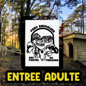 Billet 1x entrée 2026 PAPP Adulte